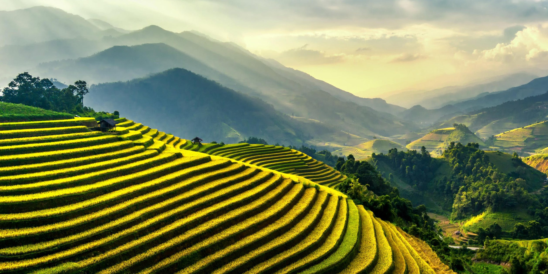 新葡萄8883AMG动态