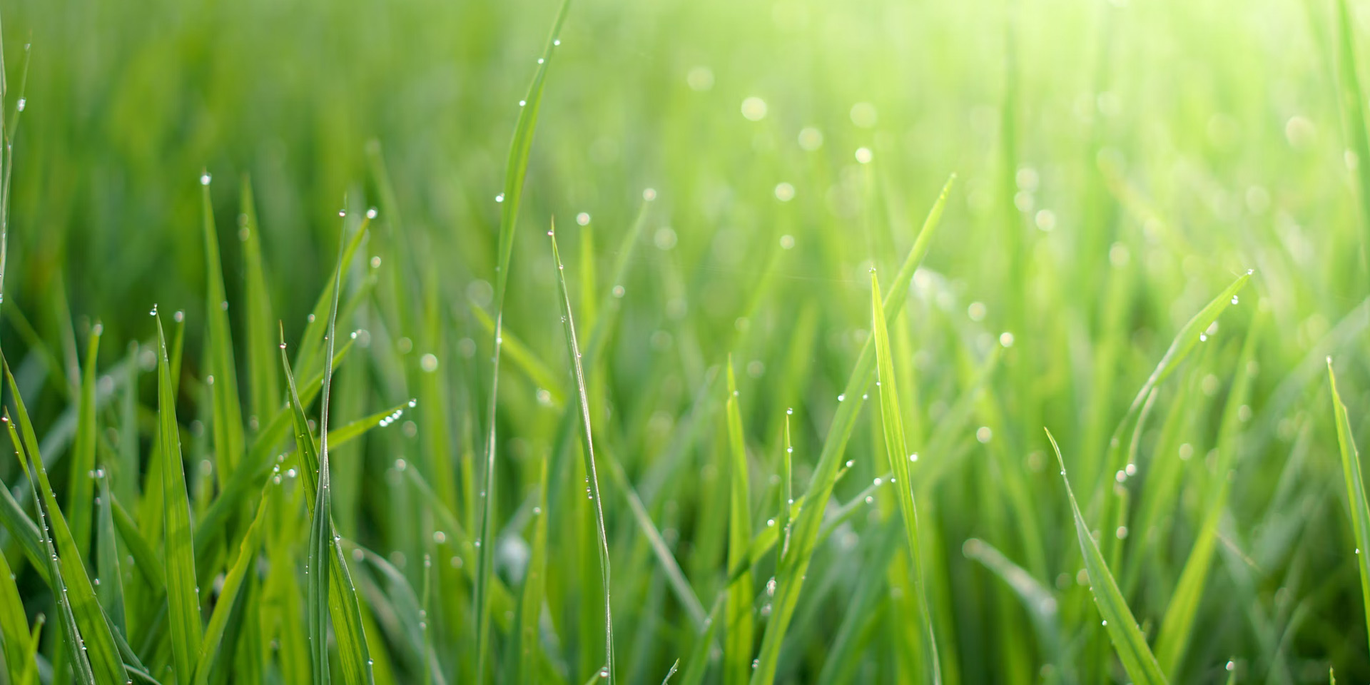 新葡萄8883AMG产品